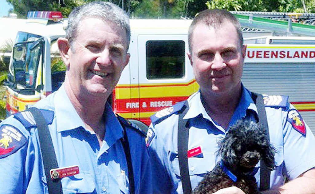 Firefighters Dave Crisp and Len Gleeson with Ebony the moodle, rescued from a house fire in Pialba. Firefighters Dave Crisp and Len Gleeson with Ebony the moodle, rescued from a house fire in Pialba.